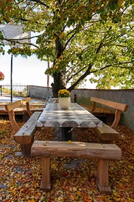 a wooden picnic table with a flower pot on top at Forest View Apartment - Sauna & Nature Escape in Slovenska Bistrica