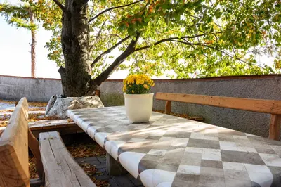 a picnic table with a flower pot on it next to a tree at Forest View Apartment - Sauna & Nature Escape in Slovenska Bistrica
