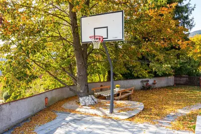 a basketball hoop attached to a tree at Forest View Apartment - Sauna & Nature Escape in Slovenska Bistrica