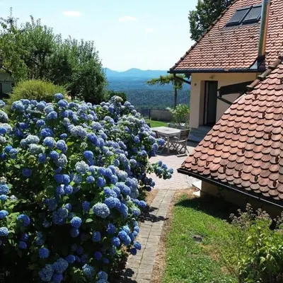 a large bush of blue flowers in front of a house at Forest View Apartment - Sauna & Nature Escape in Slovenska Bistrica