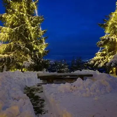 apartma Pohorc - Macesen