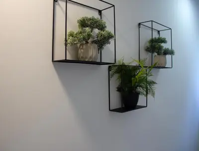 two shelves with plants on a wall at Poppqi's home in Polzela