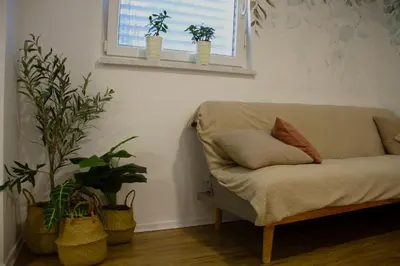a couch in a living room with potted plants at Poppqi's home in Polzela
