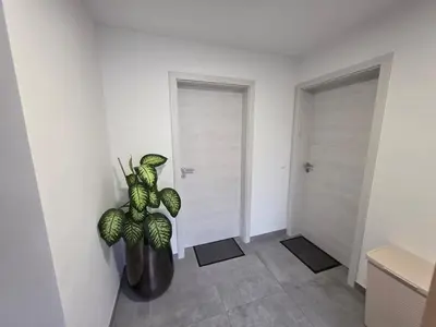 a hallway with a plant in a vase next to a door at Erika's home - apartment house in Šenčur