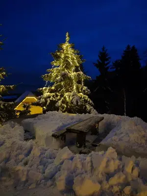 a christmas tree covered in snow with a bench at apartma Pohorc - Praprot in Pohorje