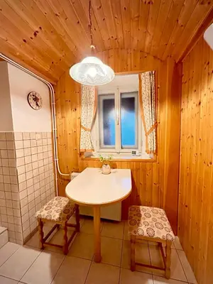 a bathroom with a table and a shower and a sink at Al-Pine Apartment in Kranjska Gora