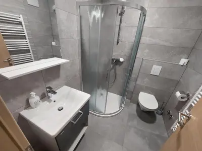 a bathroom with a shower and a sink and a toilet at 3 JABLANE apartmaji in Beltinci