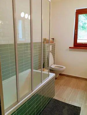 a bathroom with a shower and a toilet at Apartma Discovering Slovenia in Luče