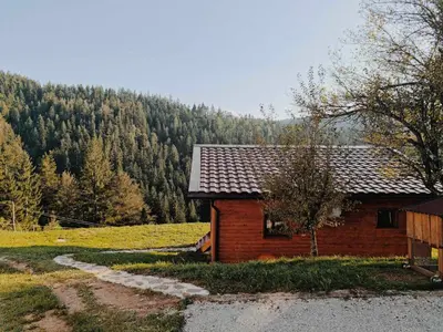 a small house in the middle of a field at Tiny house in Žiri