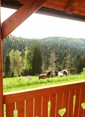 a group of horses grazing in a field of grass at Tiny house in Žiri