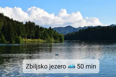 a duck swimming in a lake with a sign in the water at Tiny house in Žiri