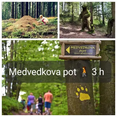 a collage of pictures with people walking in the woods at Tiny house in Žiri