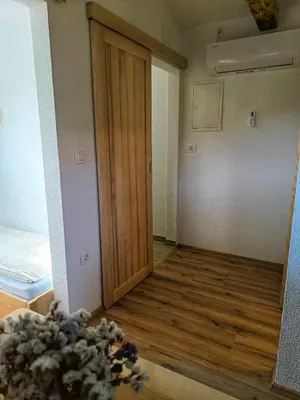 an empty room with a wooden door in a room at Tiny house in Žiri