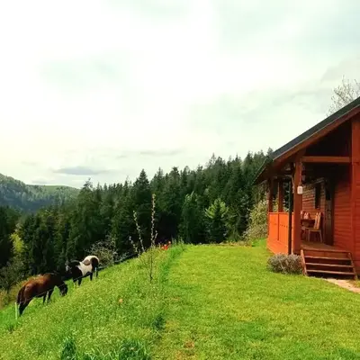 Tiny house