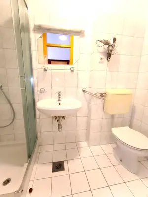 a bathroom with a toilet and a sink at Uaštarie u Luogu in Cerkno