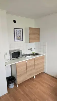 a kitchen with a sink and a microwave at Garsonjera in Ljubljana