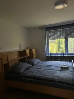 a bedroom with a large bed and a window at Apartma in Wellness Sladka Gora in Šmarje pri Jelšah