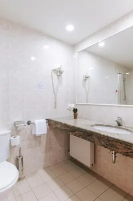 a bathroom with a sink and a toilet and a mirror at Hotel Toplice - Terme Čatež in Čatež ob Savi