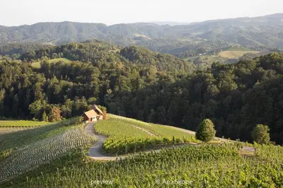 an aerial view of a vineyard in the mountains at Vila Slatina Weinderer in Svečina