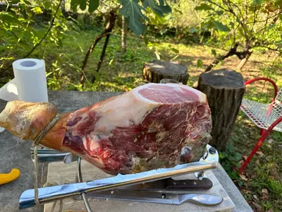 a large piece of meat sitting on a grill at Moulin a Vipava in Renče