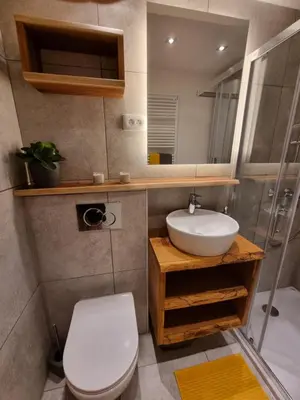 a bathroom with a sink and a toilet and a mirror at Apartment HANI in Kranjska Gora