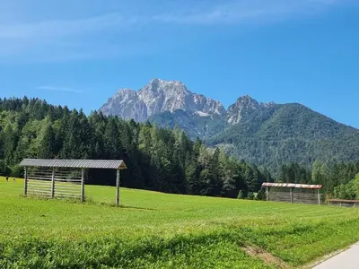 a grassy field with a mountain in the background at Apartment HANI in Kranjska Gora