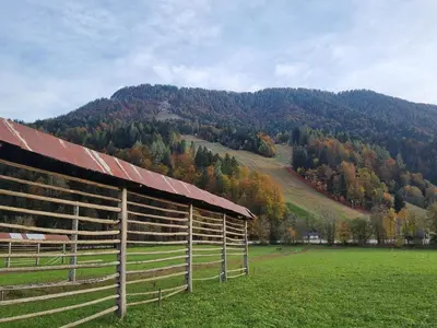 a barn in a field with a mountain in the background at Apartment HANI in Kranjska Gora