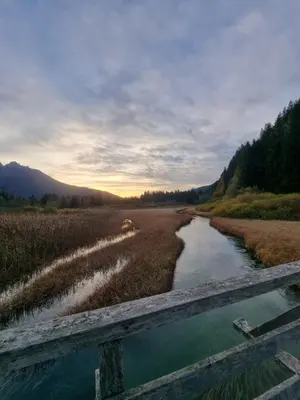 a river in the middle of a field with a fence at Apartment HANI in Kranjska Gora