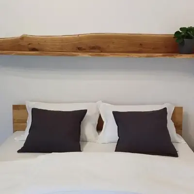 Apartment HANI