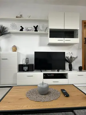 a living room with a tv and a table at Apartments Rubis in Stožice