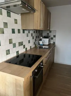 a kitchen with a sink and a counter top at Pero cozy apartment in Ljubljana