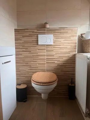 a bathroom with a toilet with a wooden wall at Pr Šemnič in Kamnik