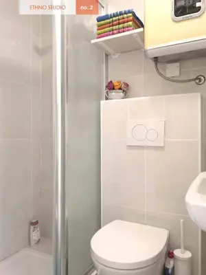a small bathroom with a toilet and a shower at Ethno Apartments in Ljubljana