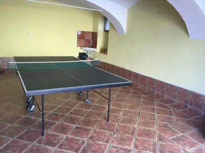 a ping pong table in a room at Apartment Bohinjčan in Bohinj