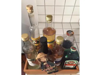 a shelf with bottles of alcohol in a refrigerator at Apartment Bohinjčan in Bohinj