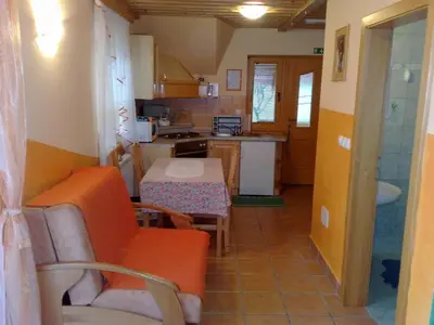 a small kitchen with a table and chairs in a room at Apartment Beli Zajec in Mozirje