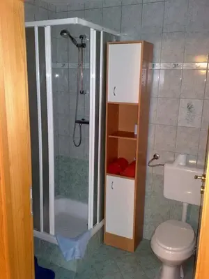 a bathroom with a shower and a toilet at Apartment Beli Zajec in Mozirje