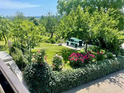 a park with a bench and some flowers and trees at Elton384 in Bogojina