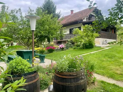 a garden in front of a house with flowers at Elton384 in Bogojina