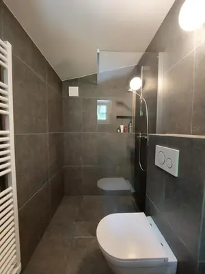 a bathroom with a white toilet and a shower at Cottage at the lake in Preserje