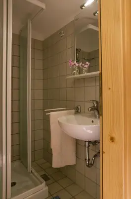 a bathroom with a sink and a shower at Apartmaji in sobe Marija Jera Štanjel in Štanjel