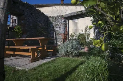 a wooden picnic table sitting in a garden at Apartmaji in sobe Marija Jera Štanjel in Štanjel
