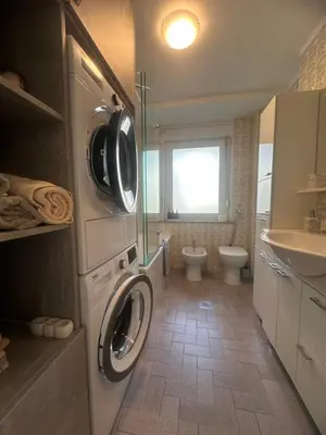 a bathroom with a washer and dryer and a toilet at Apartment Armic in Ljubljana