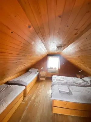 two beds in a wooden room with a window at Hiška Nisa in Čatež ob Savi