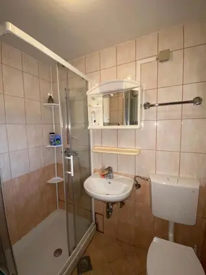 a bathroom with a shower and a sink and a toilet at Hiška Nisa in Čatež ob Savi