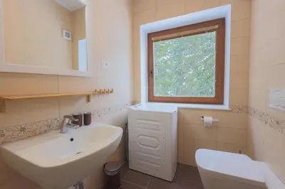 a bathroom with a sink and a toilet and a window at Apartma Medved - Pokljuka in Zgornje Gorje