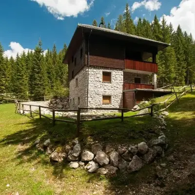 Apartma Medved - Pokljuka