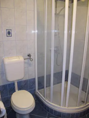 a bathroom with a toilet and a shower at Apartment Sobe Ravbar in Novo Mesto