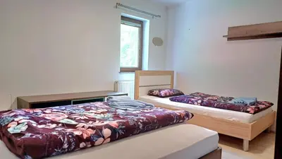 a bedroom with two beds and a window at Apartments Planina pod Sumikom in Planina pod Sumnikom