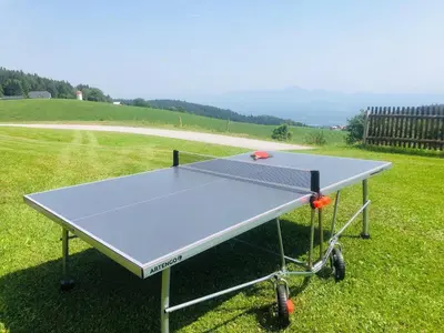 a ping pong table sitting on the grass at Apartments Planina pod Sumikom in Planina pod Sumnikom
